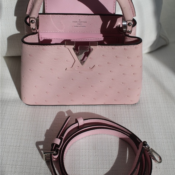 Louis Vuitton Pink Mini Capucine - Picture 4 of 15